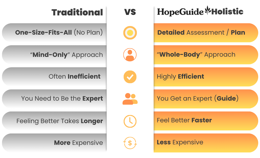 Traditional vs HopeGuide Holistic comparison chart